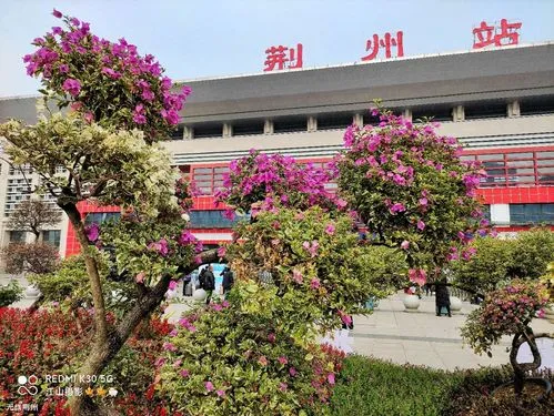武汉到荆州物流公司-武汉到荆州专线（全/境-派送）