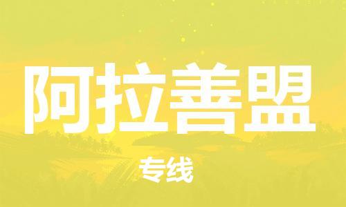 武汉到阿拉善盟物流公司-武汉至阿拉善盟专线（县/镇-派送无盲点）