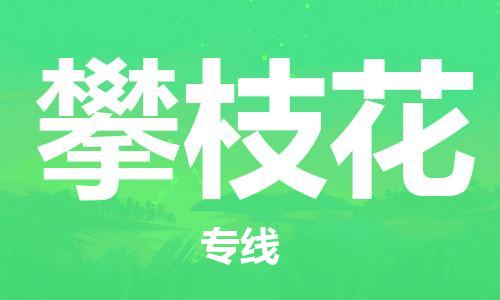 邯郸到攀枝花物流公司-邯郸至攀枝花专线全程跟踪货物物流专线